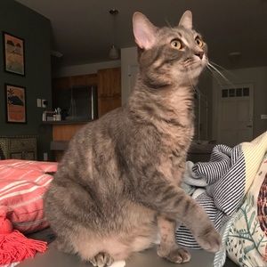 Meet your Posher, Mackenzie